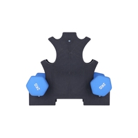 Ensemble de supports de poids hexagonaux en fer durables et colorés pour haltères, idéal pour l'entraînement de force en salle de sport