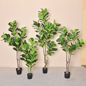 Suministros <span class=keywords><strong>de</strong></span> jardín Paisaje grande Árbol Verde Viajero Plátano Tortuga-Respaldo <span class=keywords><strong>Pino</strong></span> Simulación Casa verde natural Oficina - Product Image 6