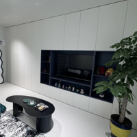 Paket kabinet Tv Hi-tech pemasangan dinding kabinet baja tahan karat 304