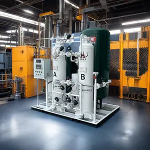 High Purity Nitrogen Generator Pressure Swing Adsorption Type Gas Generation Equipment