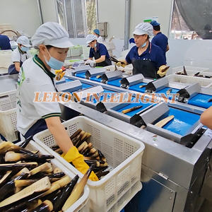 Balance de pesage par lots multiplateformes, balance combinée multi-têtes pour filets de poisson congelés, saumon, portions de pangasius - Product Image 5