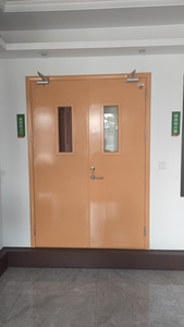 Porte Interne <span class=keywords><strong>in</strong></span> Acciaio di Design Professionale, Porte di Sicurezza Ignifughe per Appartamenti, Porte Residenziali Prodotte <span class=keywords><strong>in</strong></span> Cina - Product Image 5