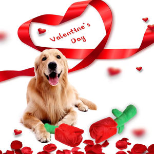 Toptan özel moda romantik kırmızı gül hediyeler dayanıklı bulmaca gıcırtılı kırışık sevgililer köpek oyuncak - Product Image 5