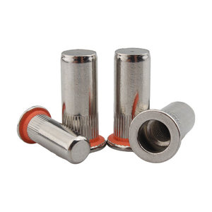 304 Stainless Blind <b>Rivet</b> <b>Nuts</b> with Red Sealing Ring Steel Carbon Steel Zinc-Plated Hexagonal <b>Rivet</b> <b>Nuts</b> - Product Image 5