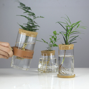 Terrario de Escritorio para Plantas, Estación de Propagación, Maceta de Vidrio para Mesa, Florero para Plantas Acuáticas con Tapa para Cultivar Plantas Hidropónicas - Product Image 4