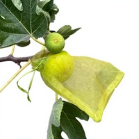 Sac de protection en filet personnalisé pour fruits, anti-insectes, anti-oiseaux, respirant, avec cordon de serrage, pour nèfles, raisins, pêches, myrtilles