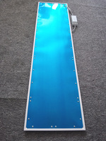 Panel de Luz LED para Cuarto Limpio de 30x120cm, Anti-UV, Bloquea Eficazmente los Rayos Ultravioleta Inferiores a 500nm