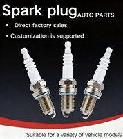 Bougie d'allumage Iridium 5960.17 5960.66 Bujias pour Renault Citroën Peugeot 206 307 Clio
