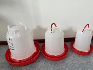 Agua potable <span class=keywords><strong>de</strong></span> pollos <span class=keywords><strong>de</strong></span> plástico Cubo <span class=keywords><strong>de</strong></span> alimentación <span class=keywords><strong>de</strong></span> agua plástica Máquina <span class=keywords><strong>de</strong></span> moldeo por inyección - Product Image 2