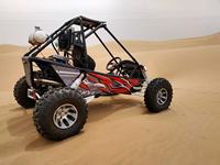 Easy-go, tout nouveau buggy tout-terrain à une place de 200 cm3/300 cm3 à grande vitesse pour adultes, buggy des dunes/buggy avec suspension indépendante