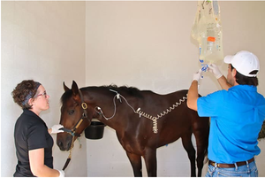 Набор для инфузии, 10 капель/мл, 550 см - Product Image 6