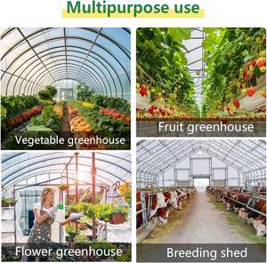 غطاء بلاستيكي للبيوت الزجاجية 6.5 × 19.6 قدم، سماكة 6 ميل، شفاف، مقاوم للأشعة فوق البنفسجية، فيلم <span class=keywords><strong>LDPE</strong></span> مضاد للماء للمزارع والزراعة والحدائق، صنع في الصين - Product Image 4