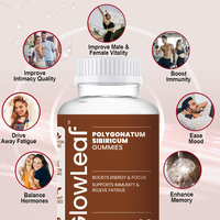 Gummies véganes Polygonatum Sibericum de marque privée Acorn, soutien immunitaire, soutien énergétique pour adultes