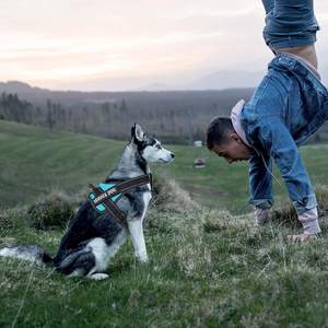 เสื้อกั๊กสำหรับสุนัขสำหรับสุนัขขนาดเล็กกลางและใหญ่ระบายอากาศได้ง่ายสำหรับกลางแจ้ง - Product Image 4