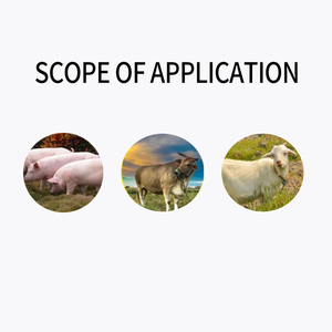 Bas <span class=keywords><strong>prix</strong></span> régulant les intestins <span class=keywords><strong>cheval</strong></span> mouton bovins porc additifs alimentaires vitamine prémélange - Product Image 5