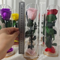 Rose Éternelle en Gros : Rose Stabilisée Naturelle Unique avec Tige dans un Dôme en Verre