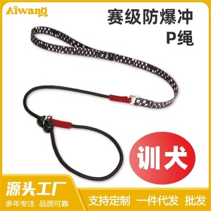 Laisse d'entraînement pour chien en nylon, monobloc, réglable, anti-explosion, pour chiens de taille moyenne à grande, design en chaîne P - Product Image 5