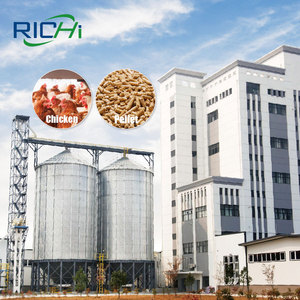 Richi miễn phí cài đặt 10-12t/h gà hoàn thành động vật Thức ăn viên dây chuyền sản xuất - Product Image 1