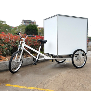<span class=keywords><strong>Vélo</strong></span> <span class=keywords><strong>cargo</strong></span> à <span class=keywords><strong>assistance</strong></span> <span class=keywords><strong>électrique</strong></span> Ester, pneus Kenda de 24 pouces, trike <span class=keywords><strong>cargo</strong></span> - Product Image 2