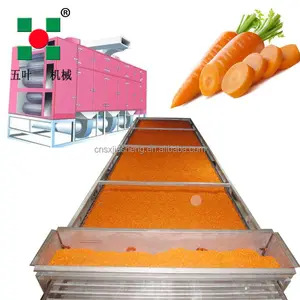 China Experienced Manufacturer Hot Air Tunnel Drying Conveyor Belt Carrot Dryer