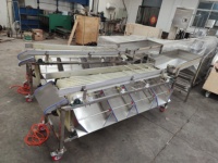 Data Sorteren Machine Met Hele Fruit Verwerking Machines