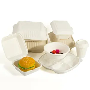 Bio-caixa descartável degradável do almoço do hamburguer da cana dos utensílios de mesa para o empacotamento amigável do costume do acampamento Eco