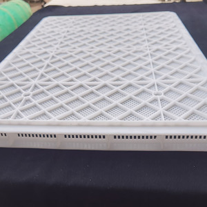 Bandeja apilable de plástico PP de grado alimenticio para congelador, secado de frutas, verduras, <span class=keywords><strong>mariscos</strong></span> - Product Image 2