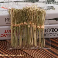 Livraison gratuite, brochettes à fruits jetables en acier inoxydable 316, fourchettes à fruits, fleurs artificielles, parapluie à cocktail, cure-dents KTV, sandwich