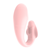 10-Gang USB-Aufladbarer Silikon Wasserdichter Rosa Kleiner Delfin Ferngesteuerter Tragbarer Vibrator für Frauen