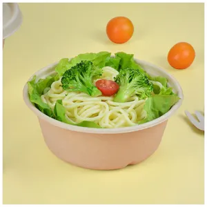 Biodegradable Sugarcane Bagasse Disposable Rigid Box Eco-Friendly Paper Food Container for Safe Food Packing