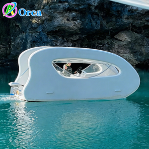 Catamarano elettrico personalizzato da crociera pontone portatile barca pieghevole casa gonfiabile barca per il gioco d'acqua - Product Image 2