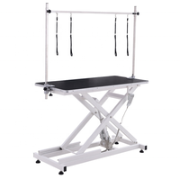 Table de toilettage pour chien avec bras
