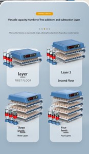 Incubateurs 500 et Hatcher, contrôleur Xm18 pour poulets, 392, 300, 256 œufs, incubateur automatique pour canaris, 300 œufs - Product Image 3