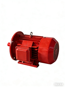 Motore Asincrono Trifase Completamente Chiuso con Montaggio a Flangia YE3-100L-4 Poli <span class=keywords><strong>3KW</strong></span>, 1440 Giri/min, 50 Hz, Personalizzabile - Product Image 6