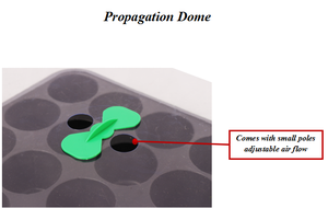 Plateau de semis 12 alvéoles réutilisable, flexible et écologique pour plantes <span class=keywords><strong>succulentes</strong></span> de jardin, semis de <span class=keywords><strong>graines</strong></span>, facile à nettoyer, résistant à la corrosion - Product Image 4