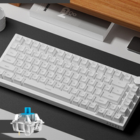 Clavier mécanique sans fil 2,4 G AK820 avec éclairage LED RVB filaire, 75 %