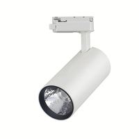 Lámpara LED Inteligente de 30W, Regulable, de Alta Eficiencia, para Riel, Galería, Iluminación Empotrada, 4000K, COB, 4 Cables, Cuerpo de Aluminio
