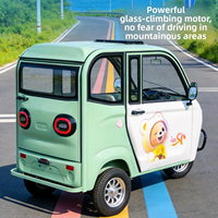Triciclo Eléctrico Totalmente Cerrado para Uso Doméstico, Vehículo de Nueva Energía Pequeño para Mujeres con Techo, Ideal para el Transporte Diario de Ancianos