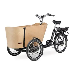 Aluminium rahmen Fahrrad Naturholz Farbbox 3 Rad Cargo Bike Elektro Dreirad mit Sitz zum Tragen von Kindern