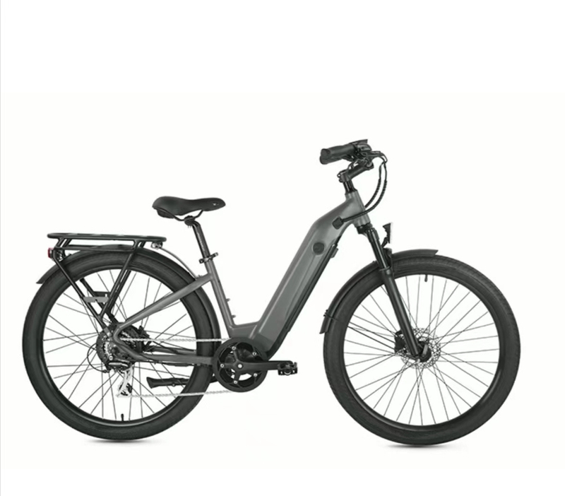 Electric Bike with Disc Break for