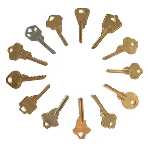 Wholesale Bump Keys Master Key Cylinder Lock Blank Keys MORTISE CYLINDER