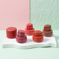 Stick de Maquillage Vegan et Sans Cruauté pour Lèvres et Joues, Faible MOQ, Couvrance Longue Durée pour le Visage