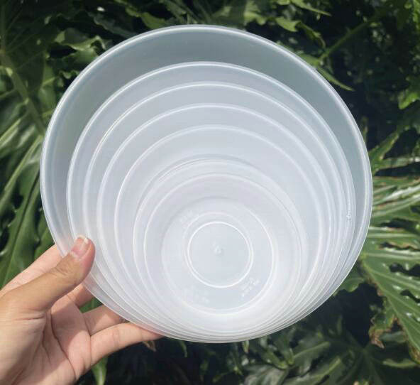 Plateaux clairs d'égouttement de soucoupe d'usine