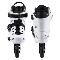 Nouvelles Chaussures de Roller en Alliage pour Adultes Débutants, Personnalisables et Portables pour Sports de Plein Air