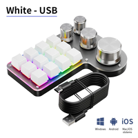 Teclado Macro Programable de 12 Teclas y 4 Perillas, Teclado Mecánico Portátil RGB para Juegos, Macropad Personalizable con Interruptores Intercambiables en Caliente para Photoshop