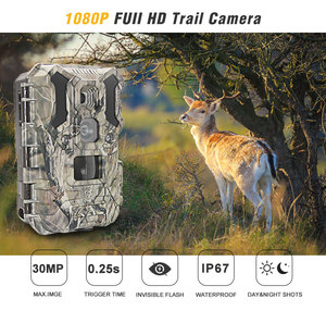 Caméra <span class=keywords><strong>de</strong></span> <span class=keywords><strong>surveillance</strong></span> extérieure à angle <span class=keywords><strong>de</strong></span> visée pour animaux sauvages Petite caméra <span class=keywords><strong>de</strong></span> <span class=keywords><strong>surveillance</strong></span> pour les chasseurs - Product Image 2