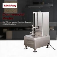 BlinkSong Commerciële Keuken Schilmachine Elektrische Automatische Fruit- en Groenteschiller RVS