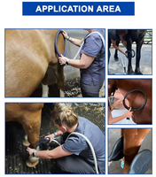 Máquina de Terapia de Campo Electromagnético Pulsado Digital Programable para Servicios Veterinarios Profesionales Equinos, PEMF para Caballos