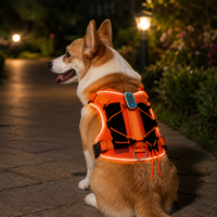 Harnais et laisse LED Qcool lumineux, étanches et rechargeables en nylon pour animaux de compagnie – Accessoires de sécurité nocturne pour la course à pied