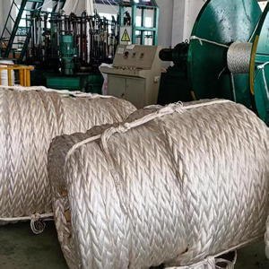 12 brins UHMWPE <span class=keywords><strong>corde</strong></span> 6mm-100mm résistant à l'abrasion voile Camping hamac montée <span class=keywords><strong>corde</strong></span> pêche Dyneemas Uhmwpe <span class=keywords><strong>corde</strong></span> tressée <span class=keywords><strong>en</strong></span> plein air - Product Image 3